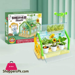 Activity Plant Children'S Planting Homework Experience The Fun