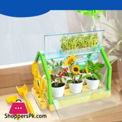 Activity Plant Children'S Planting Homework Experience The Fun