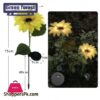 Green Forest Garden Lights Swing Solar Sunflowers Outside Garden Lawn Light