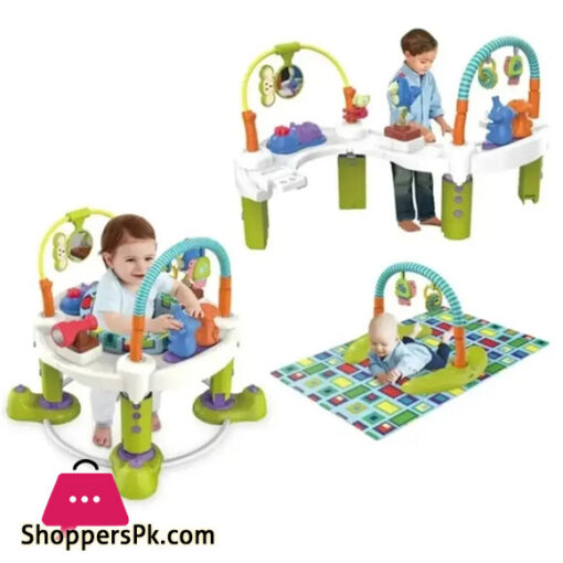 Baby View 4 Stage Activity Center
