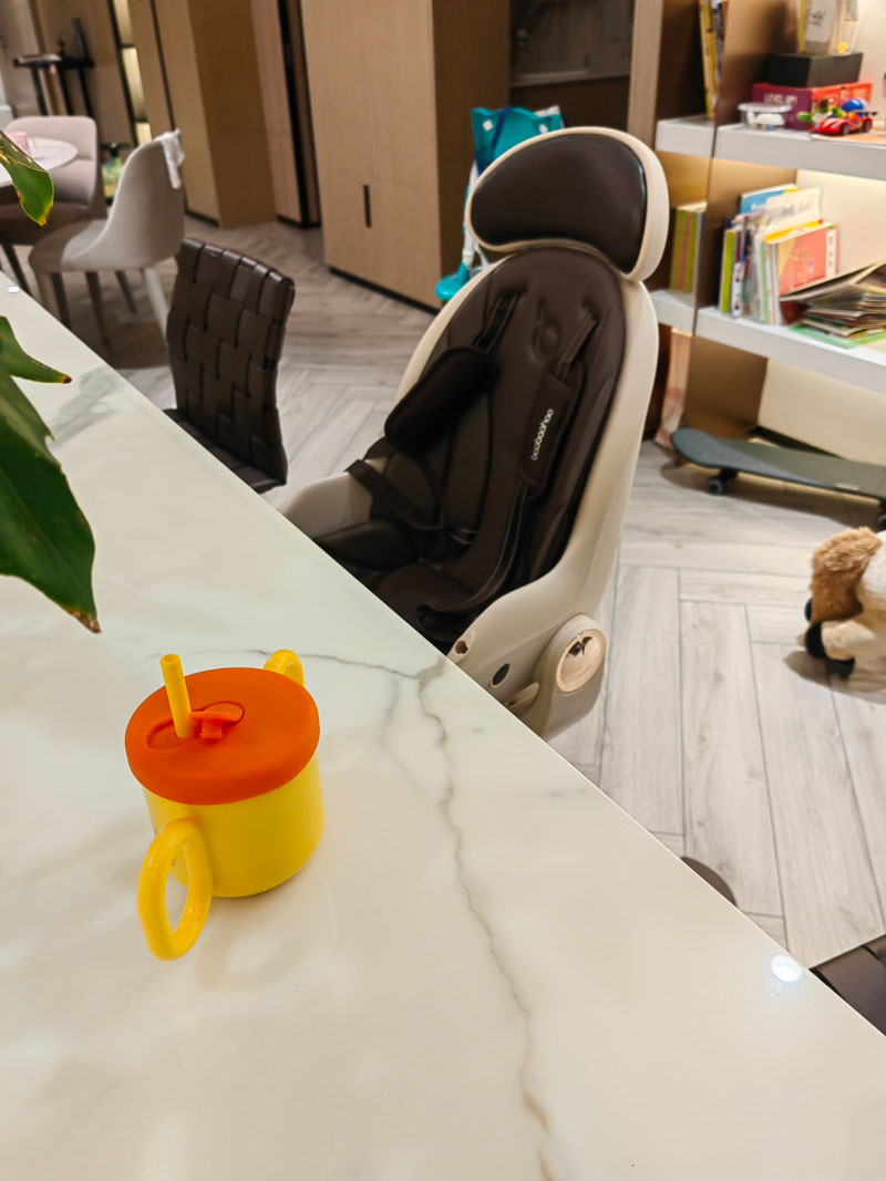 Baobaohao Baby Food Chair High Chair 293