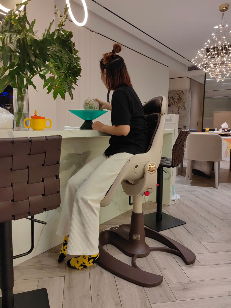 Baobaohao Baby Food Chair High Chair 293