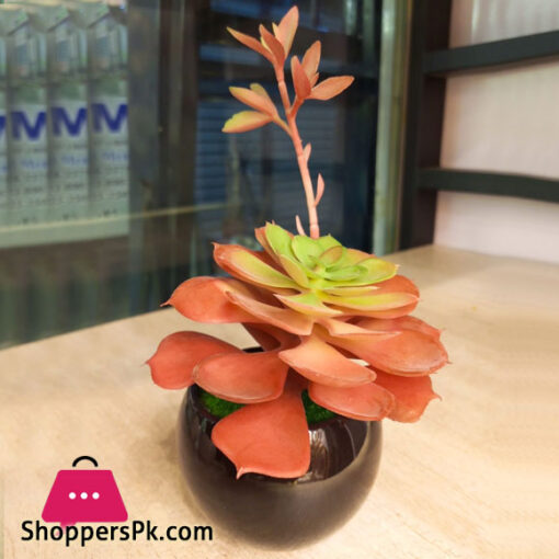 The Florist Pollination Artificial Succulent Bonsai Flower Plant