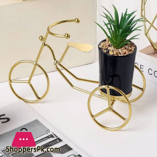Creative Bike Design Planter For Home Tricycle with Plant Pot