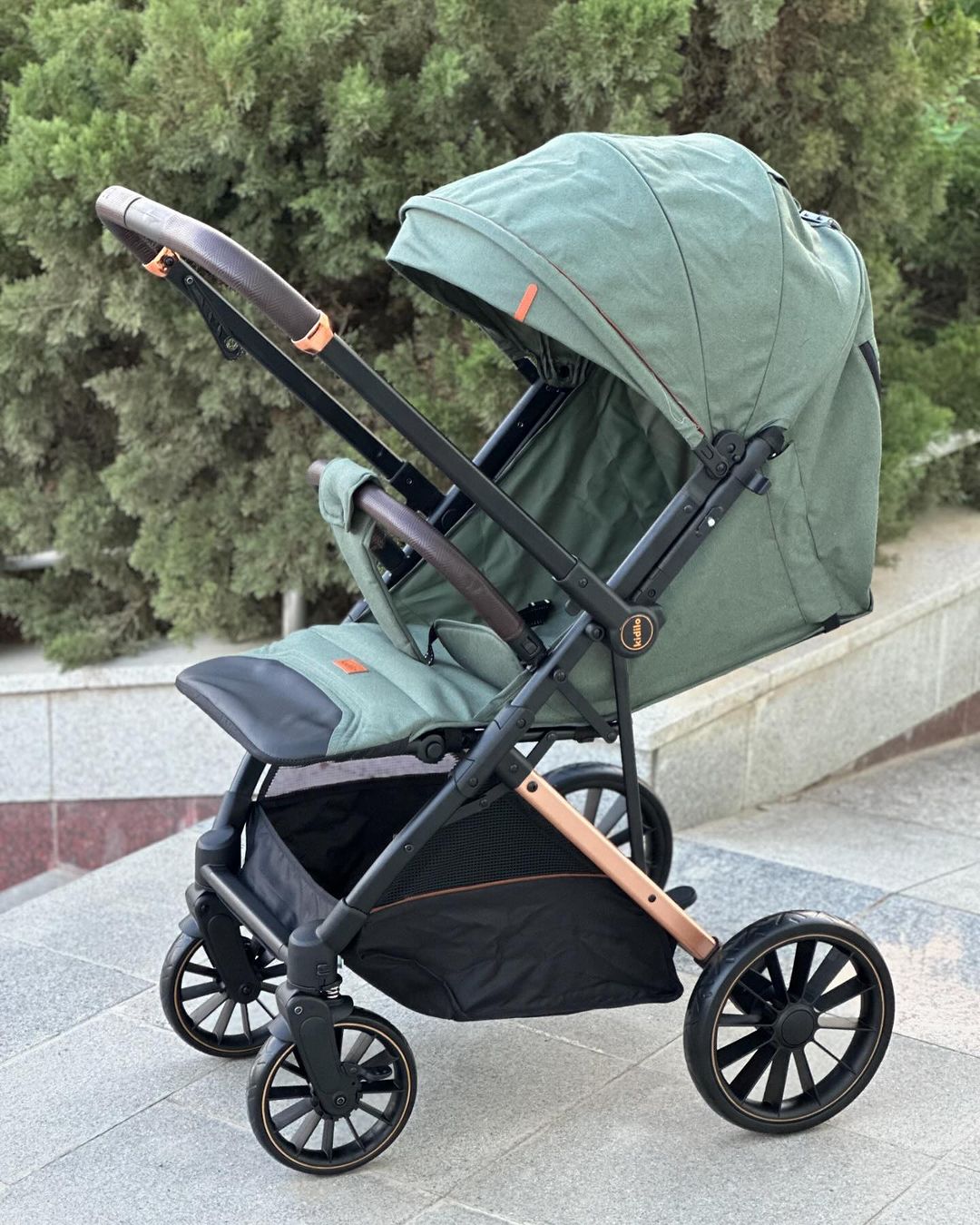 2 Way Baby Stroller