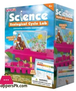 Science Ecological Cycle Lab