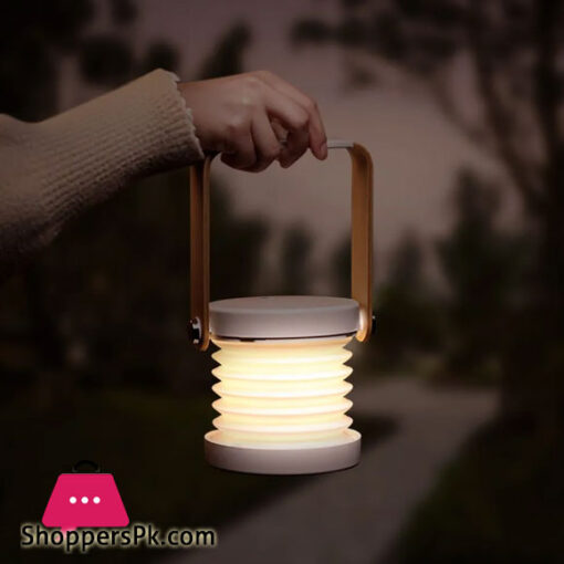 Multi-function LED Night Lamp-- Moonlight Series