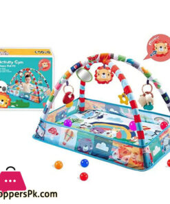 Baby Ball Pit Activity Gym