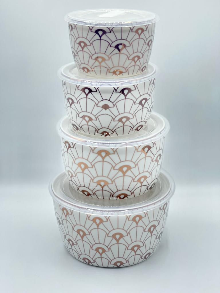 Ceramic Ware Bowl Set With Plastic Lid Microwave Safe Set Of 4