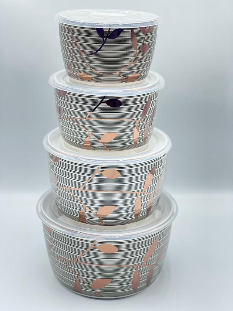 Ceramic Ware Bowl Set With Plastic Lid Microwave Safe Set Of 4