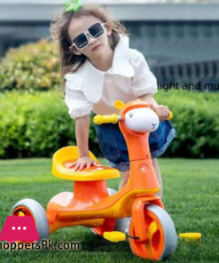 Child's Tricycle Ride on Bike Sheep Tricycle for Kids