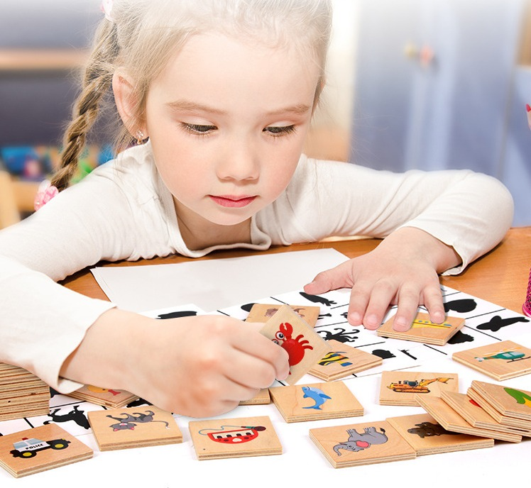 Matched Images – Shadow Matching Wooden Toy