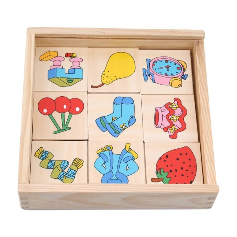 Matched Images – Shadow Matching Wooden Toy