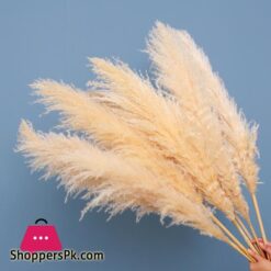 80cm Large Pampas Grass Flowers Bouquet Fluffy Dried Floral Decoration - 5Pcs