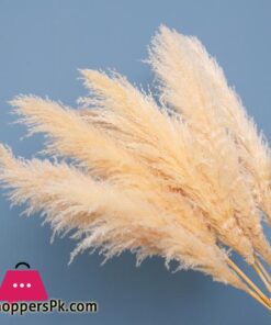 80cm Large Pampas Grass Flowers Bouquet Fluffy Dried Floral Decoration - 5Pcs