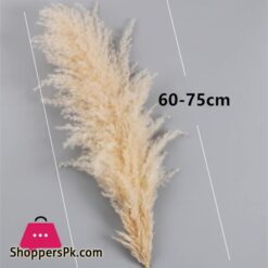 80Cm Large Pampas Grass Flowers Bouquet Fluffy Dried Floral Decoration - 5Pcs