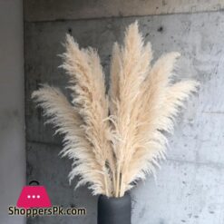 80Cm Large Pampas Grass Flowers Bouquet Fluffy Dried Floral Decoration - 5Pcs