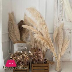 80Cm Large Pampas Grass Flowers Bouquet Fluffy Dried Floral Decoration - 5Pcs