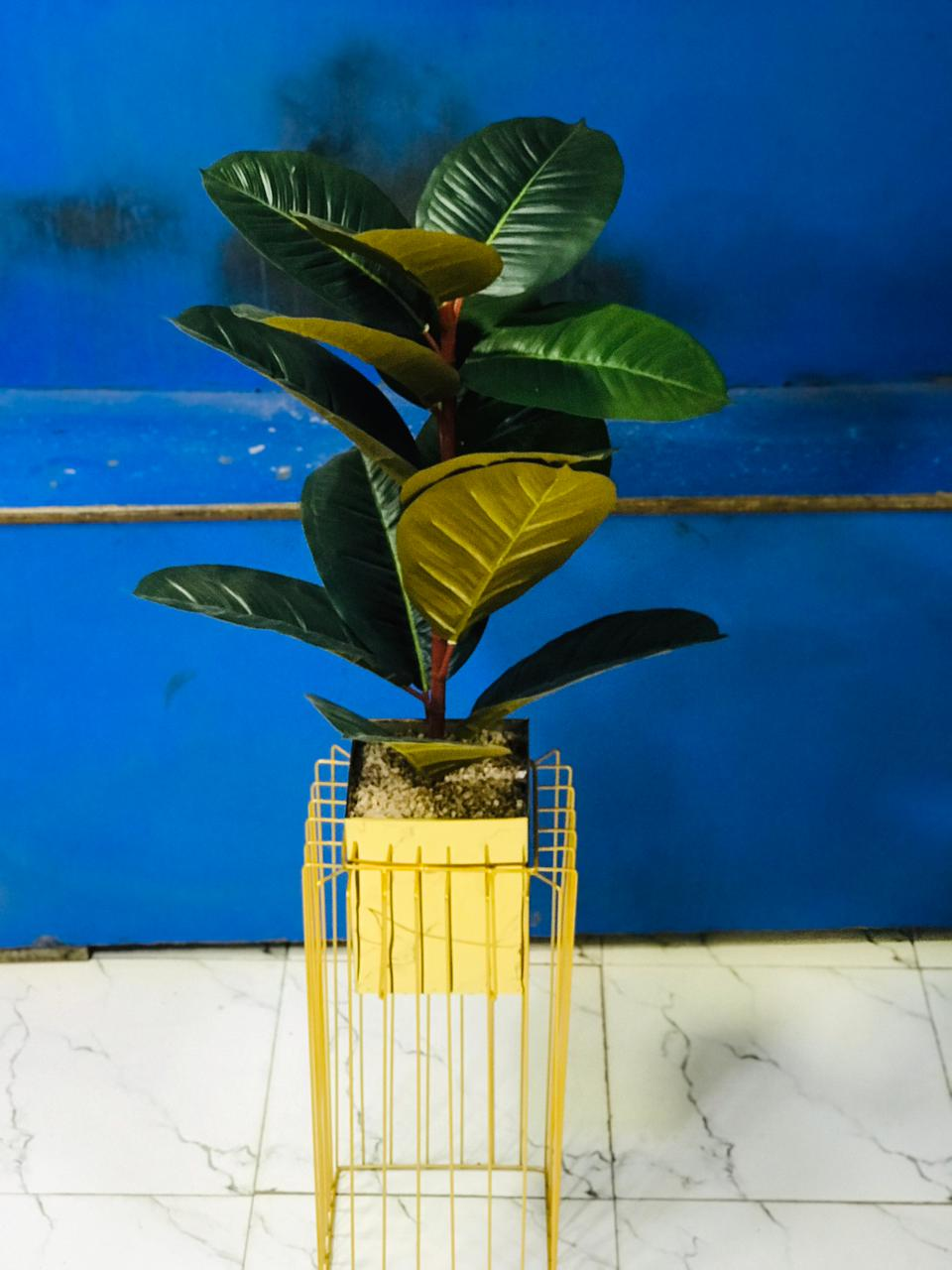 Artificial Plants Metal Stand Metal Black Pot With Imported Washable Plant Size 4.5Ft 4 Artificial Plants Metal Stand Metal Black Pot With Imported Washable Plant Size 4.5Ft