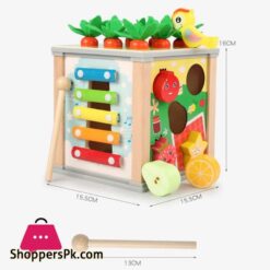 6 In 1 Wooden Montessori Toys Baby Activity Cube