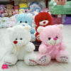 Stuffed Teddy Bear - 21Cm