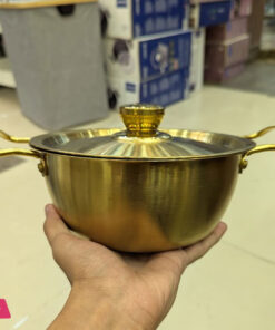 Golden Pot Koreanstyle Noodle Pot with Double Handles Cooking Soup Pot stainless Steel -22CM