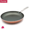 Prestige Ultra Frypan With Pan Holder 21 Cm - 22606