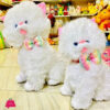 Cute Cat Plush Toy 45Cm