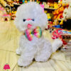 Cute Cat Plush Toy 60Cm