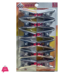 Indian Stainlesss Steel Cloth Clip Pack Of 12