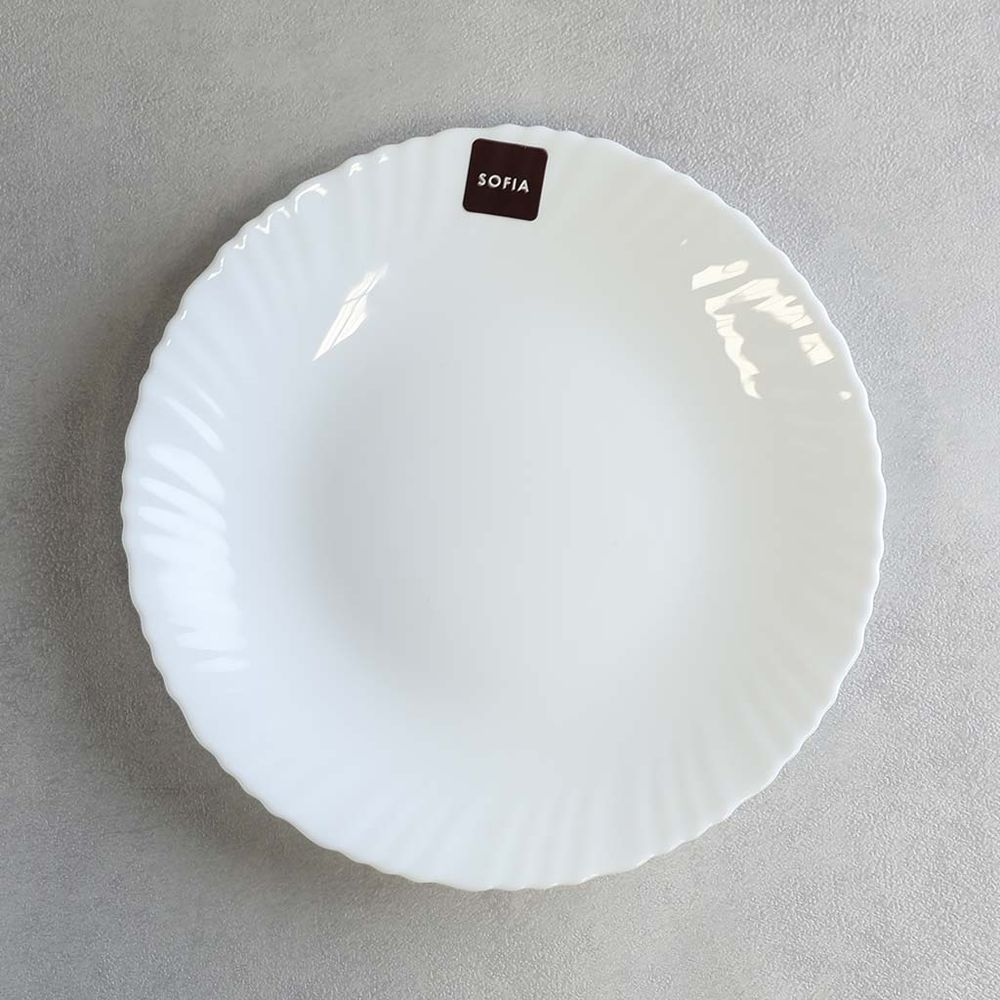 Danny Home Ceramic Dinner Plate 10 Inch