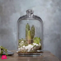 Pasabahce Mini Patisserie With Dome Cover Lid