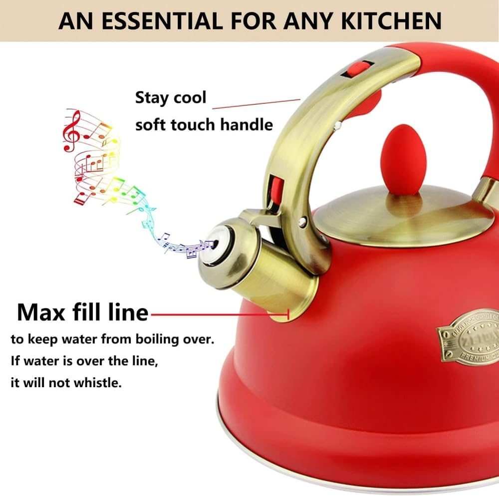 Stainless Steel Tea Kettle Golden Touch