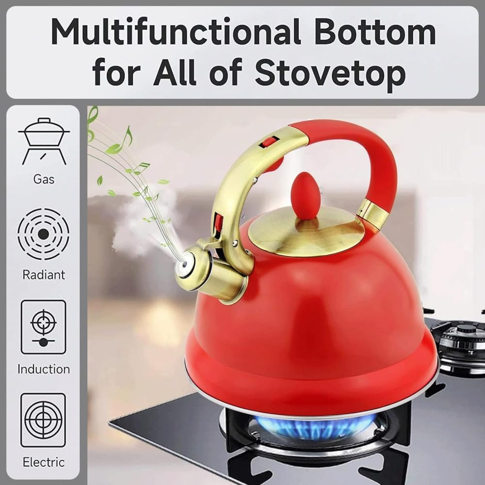 Stainless Steel Tea Kettle Golden Touch