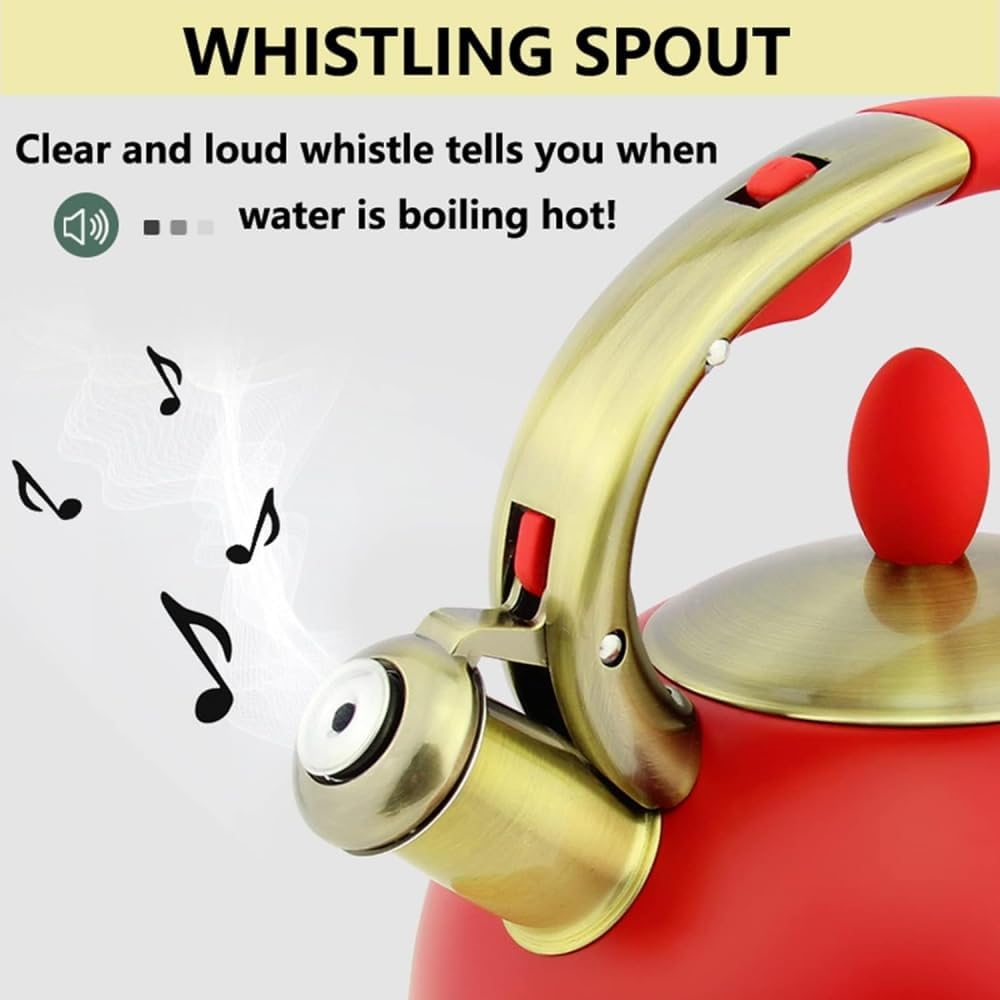 Stainless Steel Tea Kettle Golden Touch