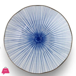 Danny Home Vintage Blue and White Ceramic Dinner Plates 10.5 Inch