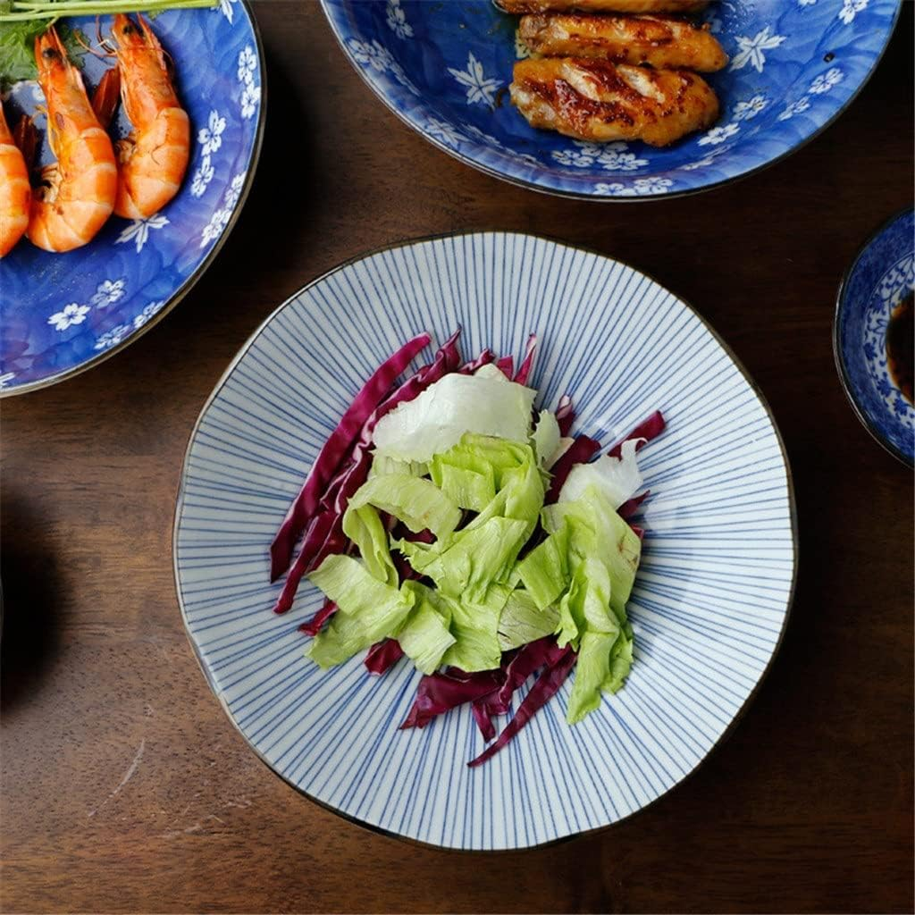 Danny Home Vintage Blue And White Ceramic Dinner Plates 10.5 Inch