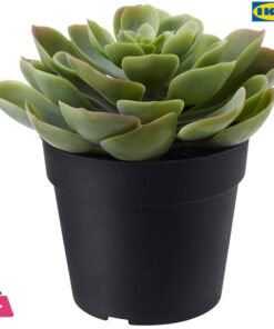 Ikea Fejka Artificial Potted Plant, Indoor/ Outdoor Succulent 9 Cm