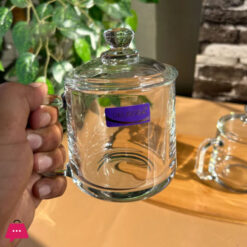 Delisoga Glass Transparent Coffee Mug With Lids Set Of 2