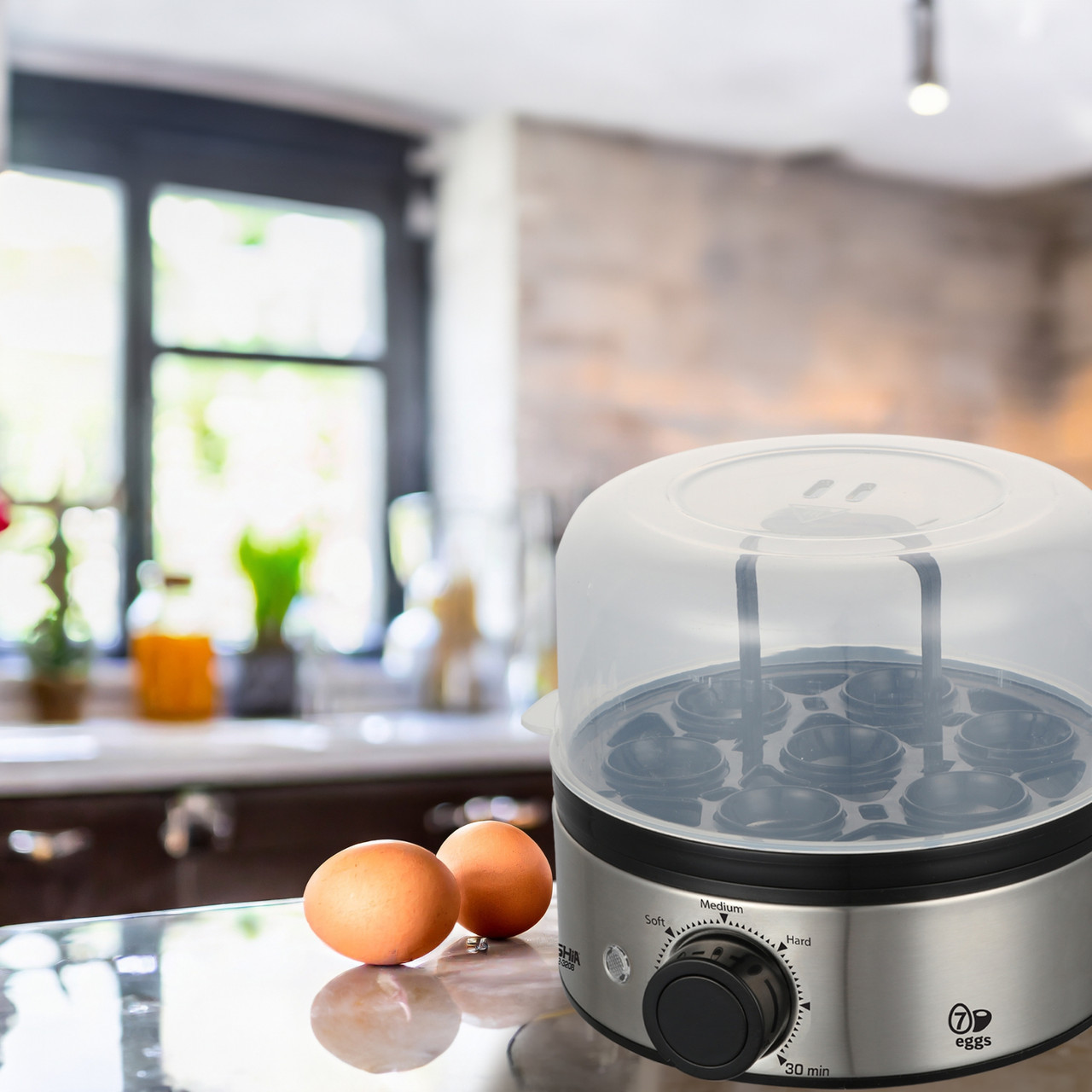 Arshia Electric Egg Boiler