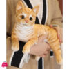 Plush Toys Stuffed Realistic Tabby Cats Gifts for Children 35CM