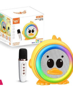 Karaoke Voice Box