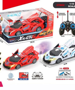 RC Remote Control Car Open Door