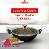 Sonex Induction Base Wokkarahi With Non Stick Coating 32Cm