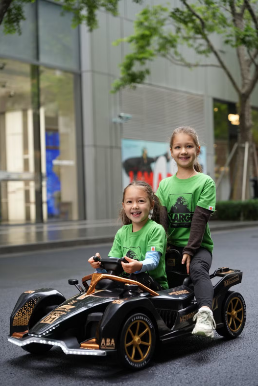 F1 Ride On Electric Car Treasure Electric Car 1-7 Years Baby Ride 17 F1 Ride On Electric Car Treasure Electric Car 1-7 Years Baby Ride