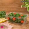Limon Glass Food Container - 580Ml