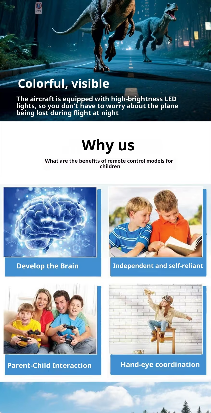 Pterosaur Fighter Simulated Drone Remote Controlled 4-Channel Resin Drone Fb-02