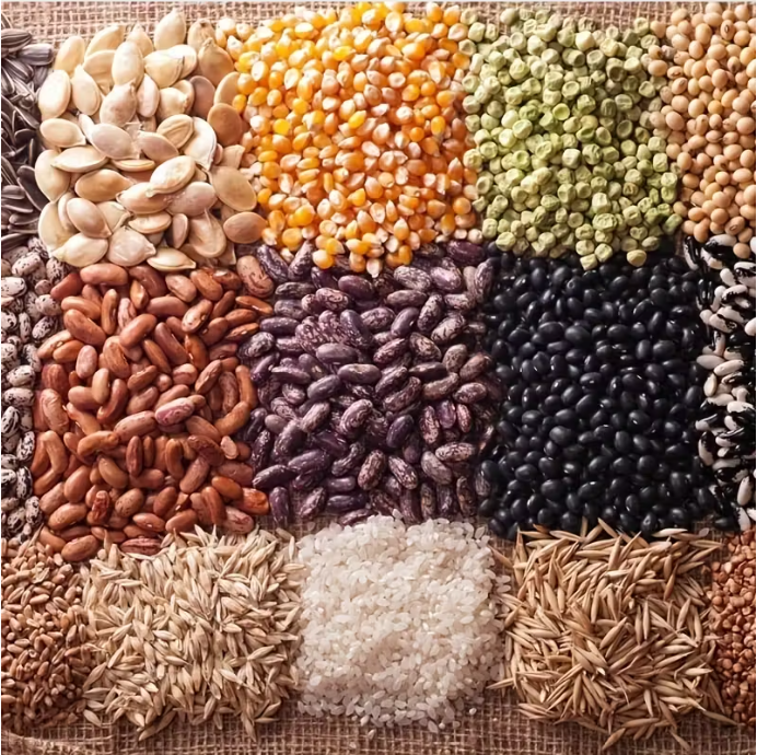 Rice Barrel With Wheels And Measuring Cup 30Ltr