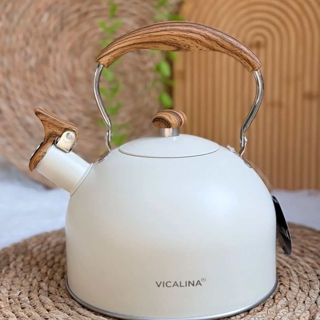 Rettberg Stainless Steel Whistle Kettle Induction Cooker Universal Kettle Whistle Kettle 3 Liter