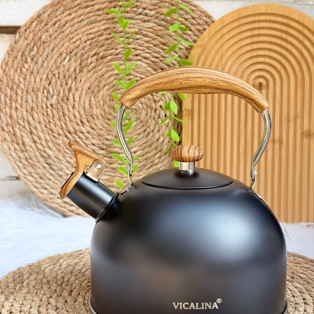 Rettberg Stainless Steel Whistle Kettle Induction Cooker Universal Kettle Whistle Kettle 3 Liter